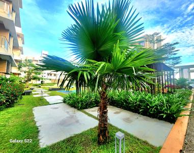 Project Image of 360.0 - 900.0 Sq.ft 1 BHK Apartment for buy in Sree Balaji Panthaniwas Dooars