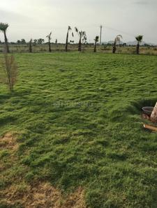 Project Image of 900.0 - 2250.0 Sq.ft Residential Plot Plot for buy in Sky Krishna City