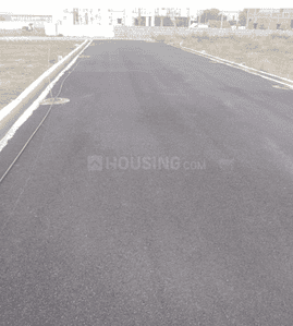 Project Images