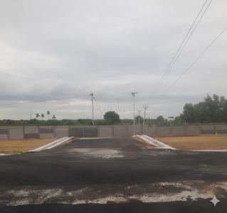 Project Images