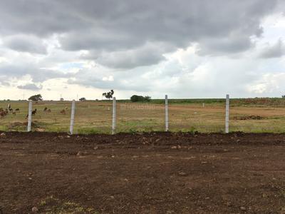 Project Image of 1503.0 - 1800.0 Sq.ft Residential Plot Plot for buy in Sampada Next Gen