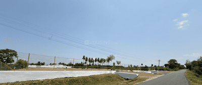 Project Images