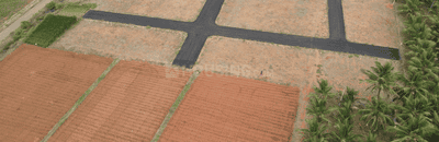 Project Images