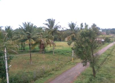 Project Image of 1200.0 - 2400.0 Sq.ft Residential Plot Plot for buy in KT Samruddhi Farm Plots