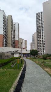 Project Image of 1220.0 - 2794.0 Sq.ft 2 BHK Apartment for buy in 7 Seas Lotus Panache Island Phase 4
