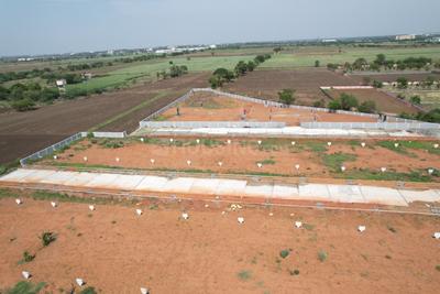 Project Image of 1116.0 - 8469.0 Sq.ft Residential Plot Plot for buy in Sun Siri The Prestige Block C