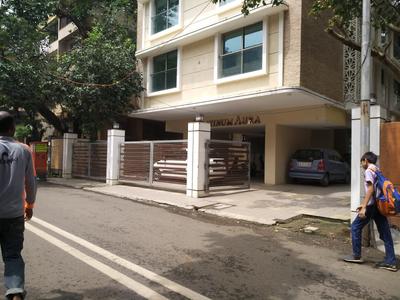 GS Pllatinum Aura Elevation 1