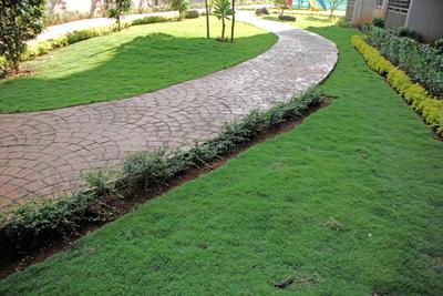 Project Image of 373.83 - 616.66 Sq.ft 1 BHK Apartment for buy in Grow Riverside Greens