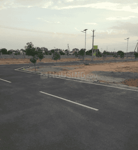 Project Images