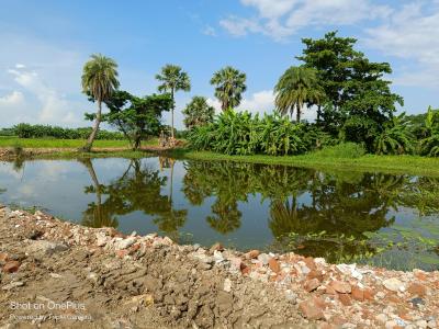 Project Image of 720.0 - 2880.0 Sq.ft Residential Plot Plot for buy in Natures Paradise