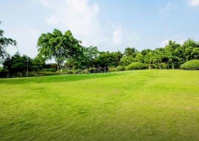 Project Image of 1350.0 - 1874.0 Sq.ft 2 BHK Apartment for buy in Ansal Orchard County I