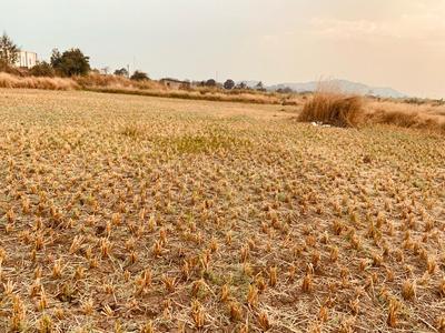 Project Image of 1000.0 - 10000.0 Sq.ft Residential Plot Plot for buy in Cityprop Plots In Ranjanpada