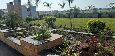 Project Image of 1000 Sq.ft Residential Plot / Land for sale in Budhaniya for Rs. 4600000