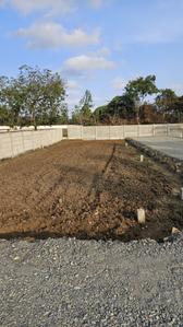 Project Image of 748.0 - 1319.0 Sq.ft Residential Plot Plot for buy in Dhilli Saranya Avenue