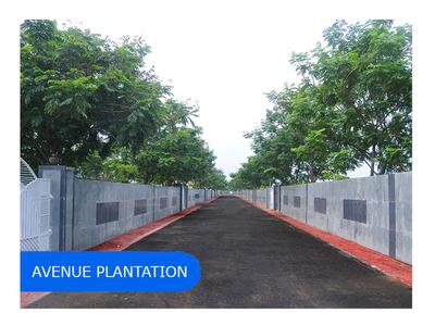 Project Image of 2400.0 - 4800.0 Sq.ft Residential Plot Plot for buy in Adityaram Township Phase I