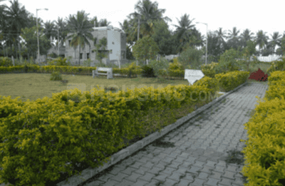 Reliaable Tranquil Landscape Garden and Tree Planting 1