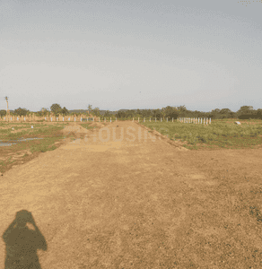 Project Images