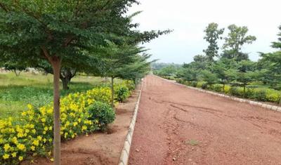 Project Image of 1503.0 - 1998.0 Sq.ft Residential Plot Plot for buy in Alluri S Nandanavanam Phase III