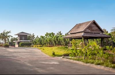 Project Image of 3804.0 - 60000.0 Sq.ft Residential Plot Plot for buy in 86 Banyan Tree