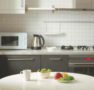 Shree Ganesh Kitchen 1