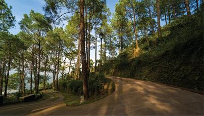 Project Image of 1149.59 - 5468.17 Sq.ft Residential Plot Plot for buy in DLF Samavana
