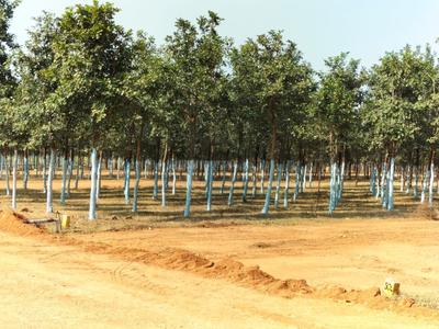 Project Image of 1350.0 - 3600.0 Sq.ft Residential Plot Plot for buy in Rudra Mahathae Brindavan