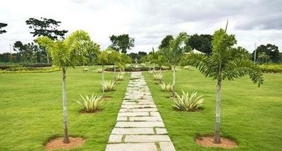Project Image of 540.0 - 5976.0 Sq.ft Residential Plot Plot for buy in Sark Green Plains
