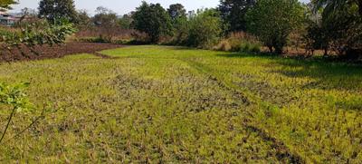Project Image of 1000.0 - 5000.0 Sq.ft Residential Plot Plot for buy in Rama Pen