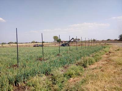 Project Image of 0.0 - 1200.0 Sq.ft Residential Plot Plot for buy in Pragati Park Phase 2
