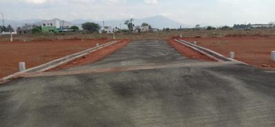 Project Images