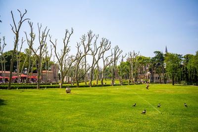 Project Image of 1334.72 - 3539.17 Sq.ft Residential Plot Plot for buy in Aratt Escapes