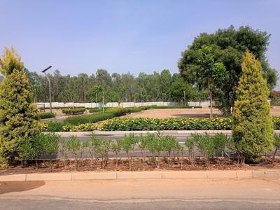 Project Images