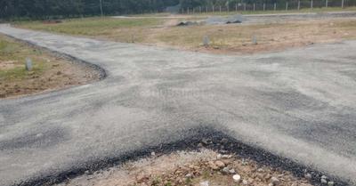 Project Images