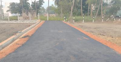 Project Images