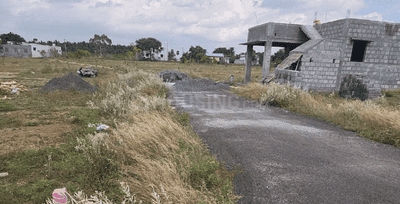Project Images