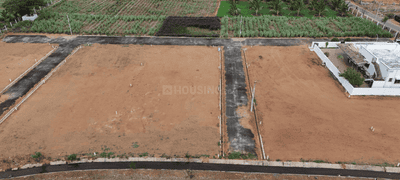 Project Images