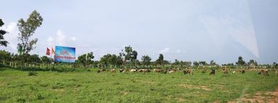 Abhhiraman Developers Elite Residency More Images 4