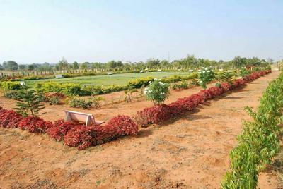 Gallery Cover Pic of Building True Greens