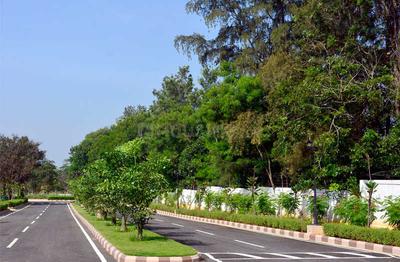 Project Image of 1799.94 - 3958.97 Sq.ft Residential Plot Plot for buy in Chartered Windsong Phase 2
