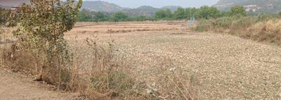 Mahamum Plots In Shematikhar Plot 1