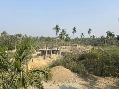 Project Image of 1237.0 - 1447.0 Sq.ft 3 BHK Villa for buy in Aryan E Villas