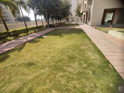 Project Image of 2359.0 - 6440.0 Sq.ft 3.5 BHK Apartment for buy in Adani Water Lily Ph 3 Towers A6 A7