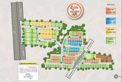 Elite Rose Phase 3