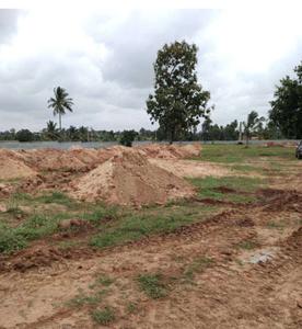 Project Image of 875.86 - 6825.72 Sq.ft Residential Plot Plot for buy in Land Capital Avalon County