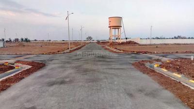 Project Images