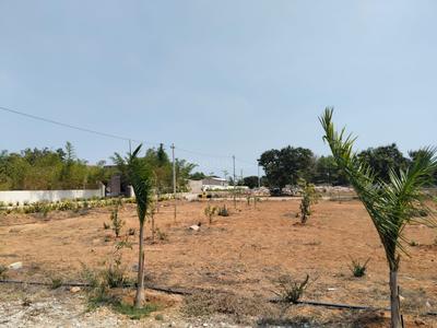 Project Image of 0.0 - 1359.0 Sq.ft Residential Plot Plot for buy in Abhista Arrjava Farms