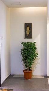 Project Image of 397.41 - 679.53 Sq.ft 1 BHK Apartment for buy in Mount Galaxy