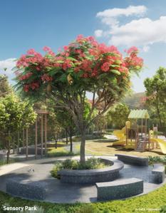 Project Images