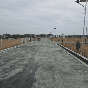 Project Images