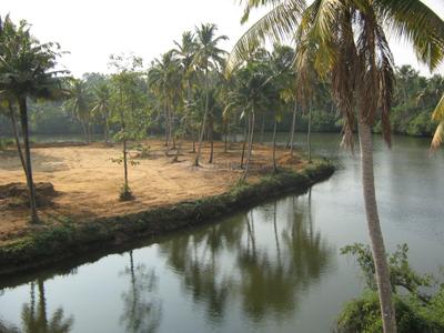 Project Image of 875.0 - 4252.0 Sq.ft Residential Plot Plot for buy in Coral Amazon